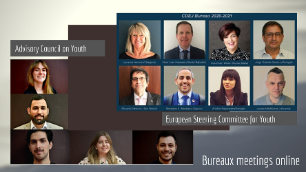 The youth sector statutory bodies’ Bureaux meet online to ensure the continuity of their work